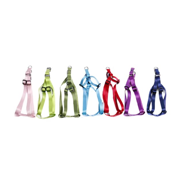 Pawfect Basic Glossy Color Leash