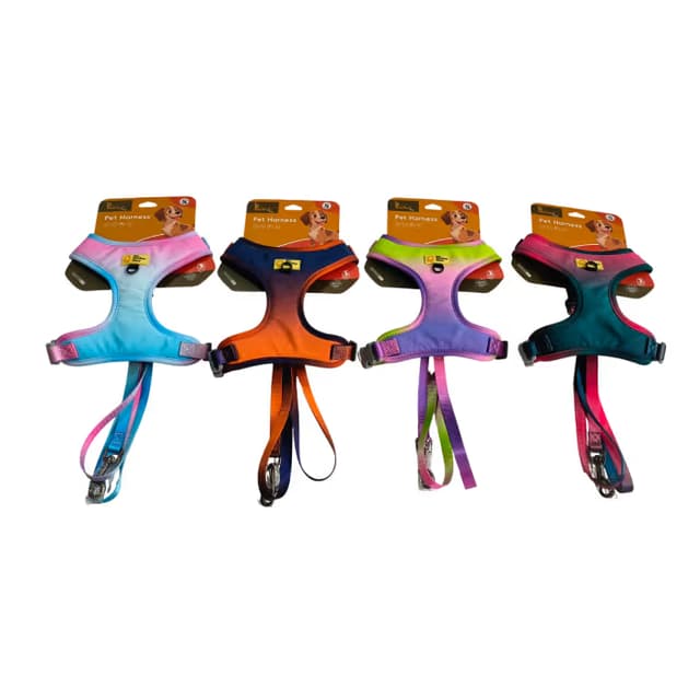 Pawfect H Shape Gradient Harness Leash Set