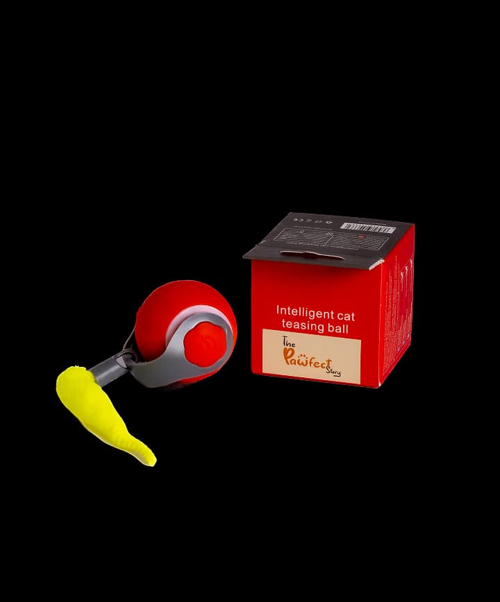 Interactive Toys